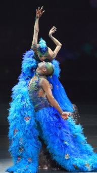 楊麗萍所屬文化公司籌劃上市 民族藝術(shù)保護與商業(yè)發(fā)展的雙贏之路