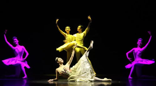 以美育人，以文化人 遼寧芭蕾舞團專場演出點亮寧夏大學新華學院藝術星空